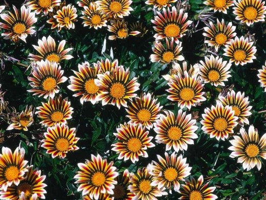 419814 (a): :1024x768